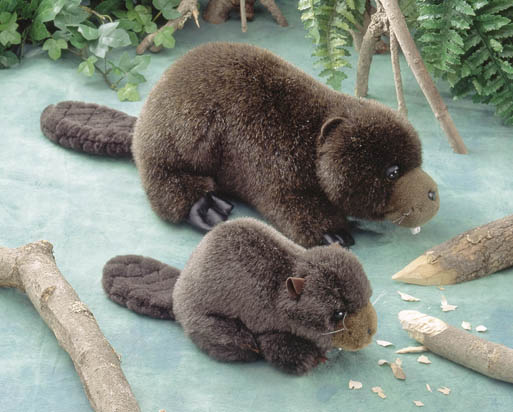 Stuffed Animal House - Beaver nb01